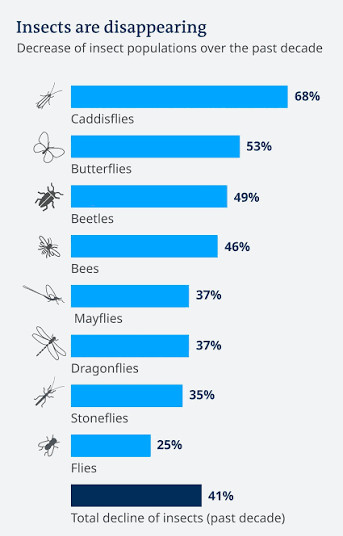 Insect Decline over the past 10 years